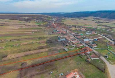 De vanzare Casa + Teren 2685 mp Intravilan, Betfia, Bihor - 5