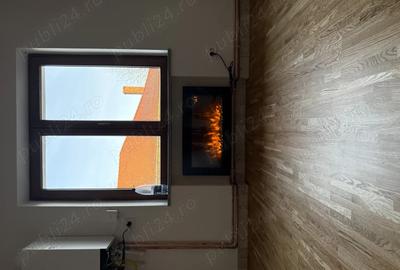 Studio de vanzare la poalele Cetatii Devei - 3