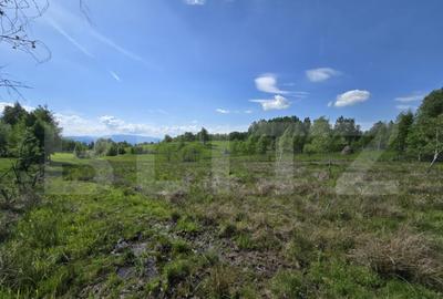 Teren extravilan 13103 mp in Dealu Mare! Oportunitate invest - 3