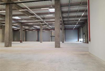 Spatiu Industrial - 2500 mp - Logistica - Productie - Depozitare - Distributie - 7