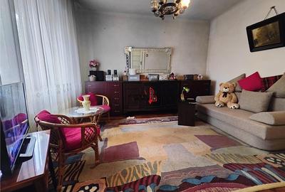 Casa spatioasa cu gradina mare zona Expozitiei Agronomie - 9