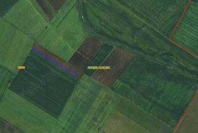 Teren de 5000 mp, în Central - 1