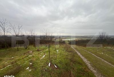 Spațiu comercial, în Robănești - 6