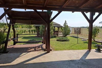 Casă în Acâș - 7