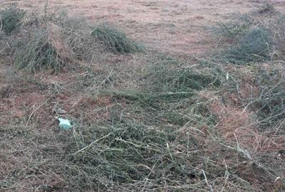 Teren de 500 mp, în Agigea