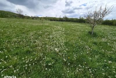 Teren de 24000 mp, în Galații Bistriței - 2