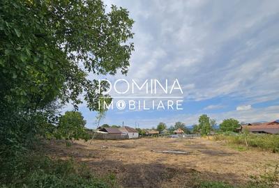 Teren Construcții intravilan de 5822 mp, în Nord - 7