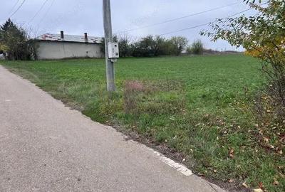 Teren de 5000 mp, în Comana - 3