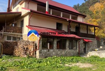 Vila-posibilitate pensiune Tarcau DN - 18