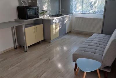 Apartament 3 camere Palas - Sf. Lazar - 6