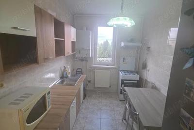 Apartament cu 2 camere decomandat în Gemenii - 4