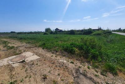 Teren Construcții intravilan de 12216 mp, în Vetiș - 4