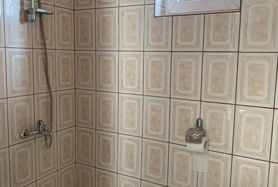 Vila 3 camere Colentina-Andronache - 19