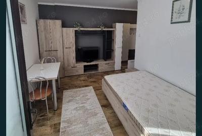 Inchiriere Garsoniera Orizont cartierul Dr. Taberei - 3