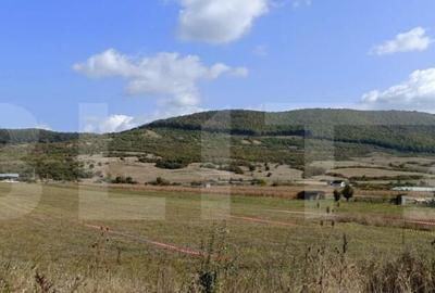 Teren Intravilan de vanzare, 4.900 mp, zona parcului Industr - 2