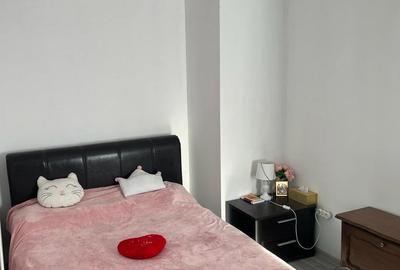 Apartament cu 2 camere semidecomandat în Tineretului - 1