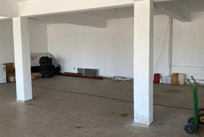 Spatiu Comercial de Inchiriat Ulmi DN71 HALA 140MP+800MP TEREN - 5