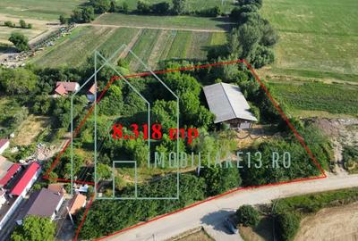 Hala cu 8.318 mp teren intravilan in Petresti, Sebes, Alba Hala cu 8.318 mp teren intravilan in Petresti, Sebes, Alba - 2