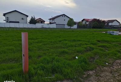 Spațiu comercial, în Brănești - 4