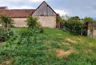 Casa 3 camere suprafata utila 80mp,si teren 960mp, spre vanzare in Sacel - 11