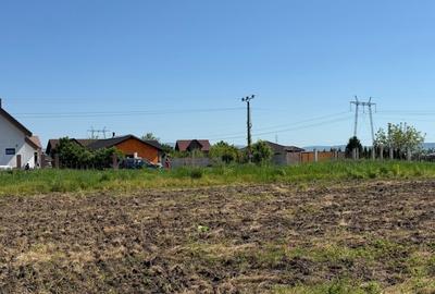 Teren Construcții intravilan de 500 mp, în Hălchiu - 5