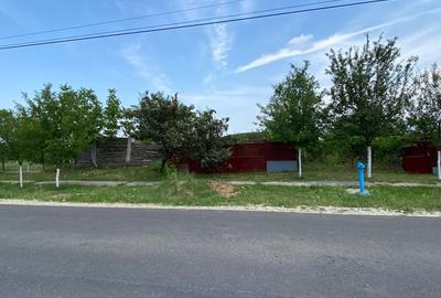 Teren de 1600 mp, în Cuied - 6