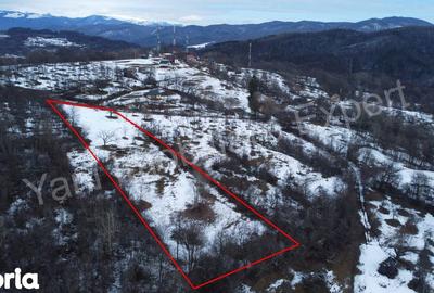 Teren de 4377 mp, în Bradu - 9