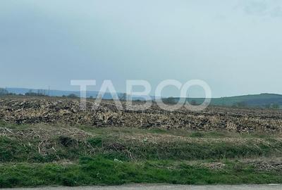 Teren intravilan de vanzare zona industriala nord 19100 mp front 50 m - 2