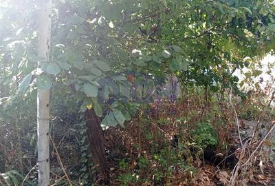 Casă cu 3 camere cu Teren 288 Mp în Eroii Revoluției - 12