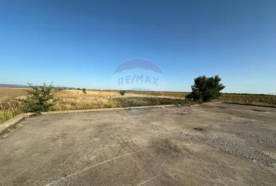 Teren agricol extravilan de 19963 mp, în Mândruloc - 9