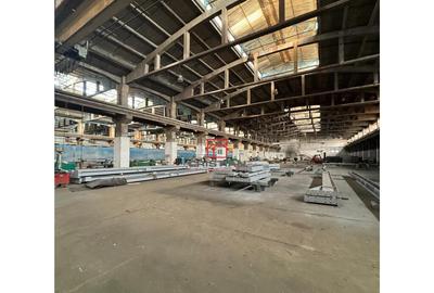 Spațiu comercial, de 1,650 mp, în Zona Liberă - 2