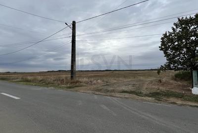 Teren agricol intravilan de 1700 mp, în Merii - 6