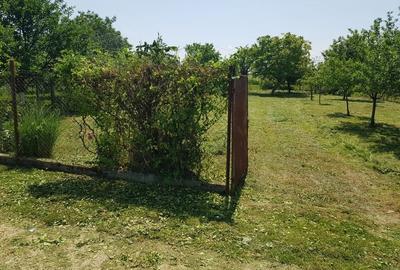 Teren de 600 mp, în Careiului