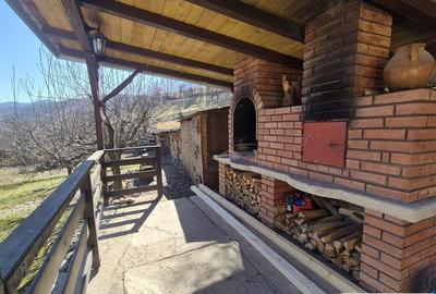 Casă individuală cu 8 camere cu Teren 1160 Mp în Meteș - 10