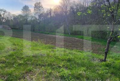 Teren de 6659 mp, în Nisipoasa - 3