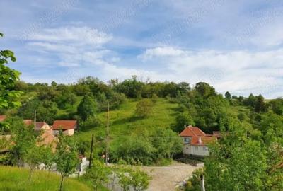 Vind Casa Mare La ?ara Sau Schimb cu Apartament sau 2 Garsoniere in Sibiu - 2