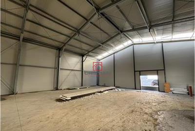 Depozit/hala/spatiu industrial/parc logistic Jilava - Giurg - 5