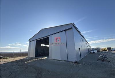 Depozit/hala/spatiu industrial Bolintin Deal - A1 - KM23 - 4