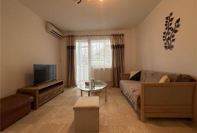 Apartament cu 2 camere semidecomandat, mobilat în Podu Roș - 10