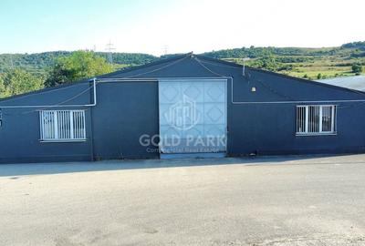 Spatiu Industrial - Zona Autostrazii A3 - Curte / Parcari - 2