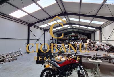 Hala de vanzare in Racari de Jos - 10