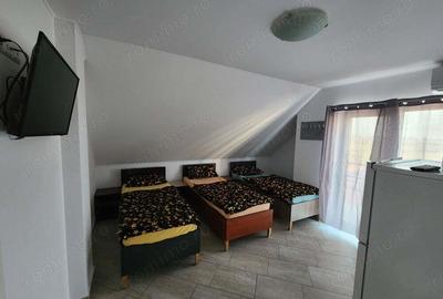 Casă cu 2 camere în Sânandrei - 2