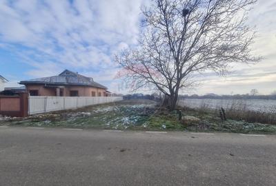 Teren intravilan 1,564mp in Gologanu - 3