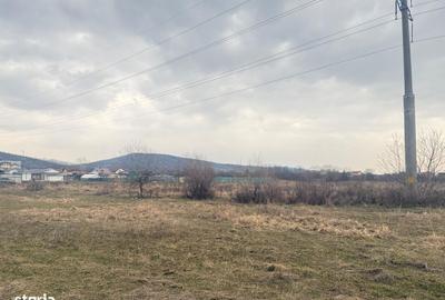 Teren de 3000 mp, în Aninoasa - 15