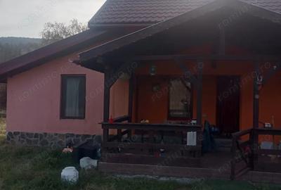 Casă cu 5 camere cu Teren 1263 Mp în Eremitu - 5