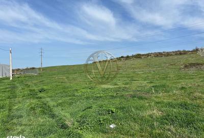 Spațiu comercial, în Betfia - 3