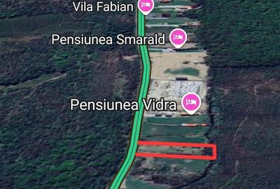 Spațiu comercial, în Biharia - 4