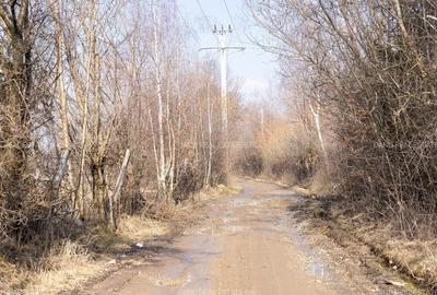 Teren Construcții intravilan de 5967 mp, în Bran - 12