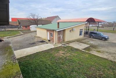 Spațiu industrial, de 450 mp, în Gottlob - 6