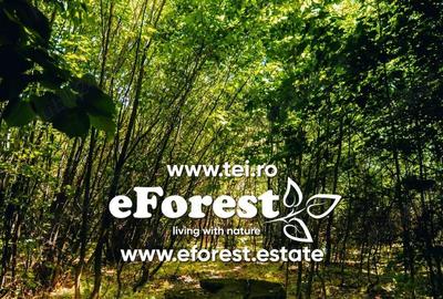 Teren de 720 mp, în Crevedia